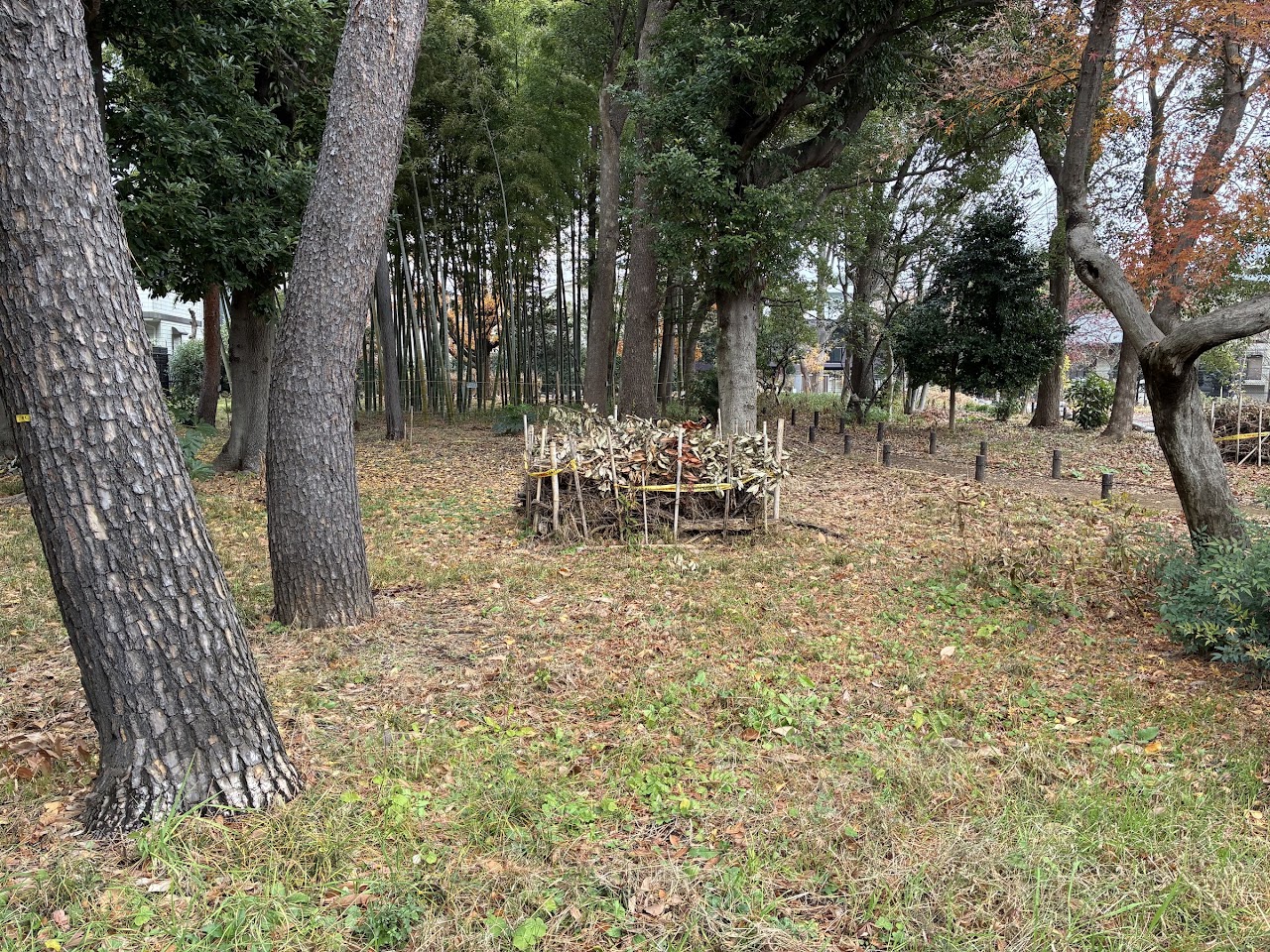 竹林と落葉樹の林の中に、細い杭を地面に立てて枝を渡した低い囲いがあり、その中に枝つきの葉と落ち葉が積まれている。