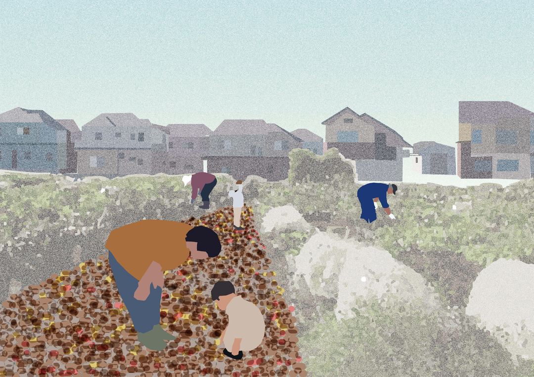 住宅地に囲まれた練馬の畑のドローイング。手前で数人が落ち葉の積もった地面にかがみ込んで作業し、奥に一戸建ての家並みが続く。