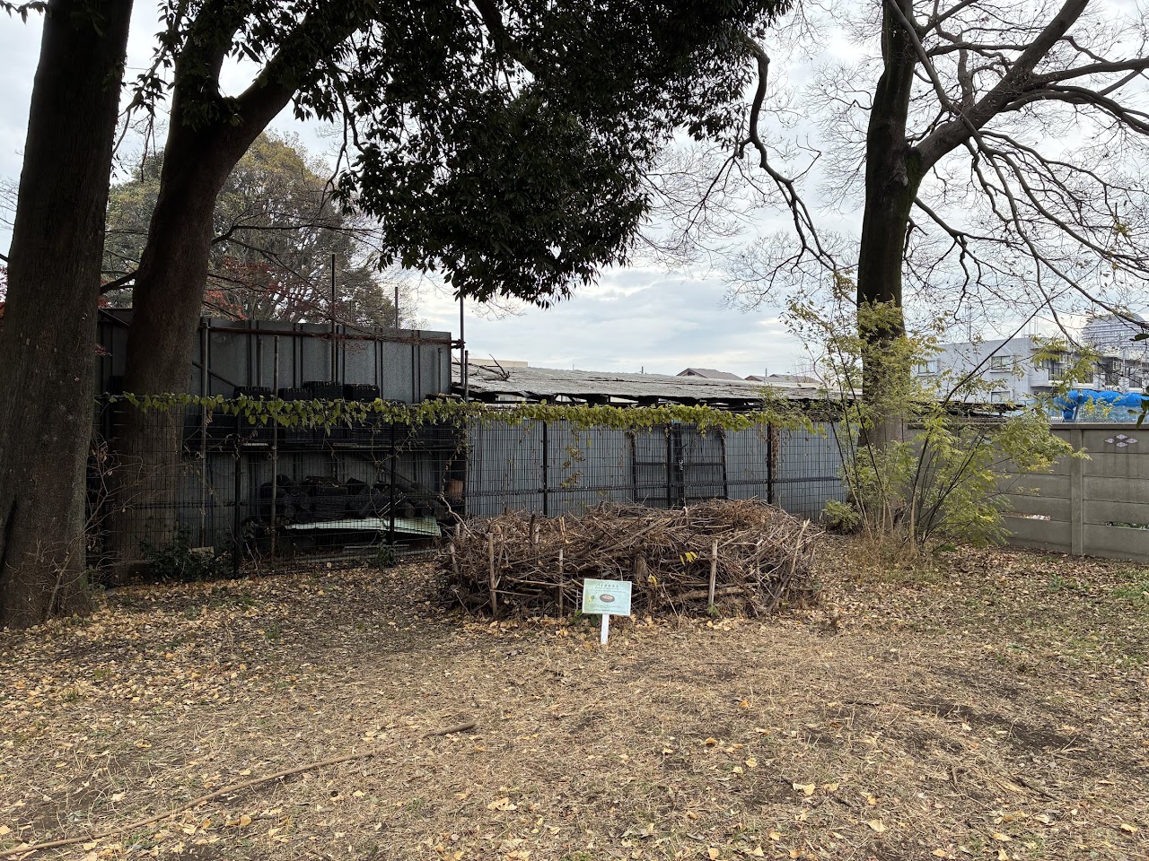 林の中の枝を組んだ囲いの前に、「バイオネスト」と書かれた小さな説明看板が立っている。看板には巣のような形の絵が描かれている。