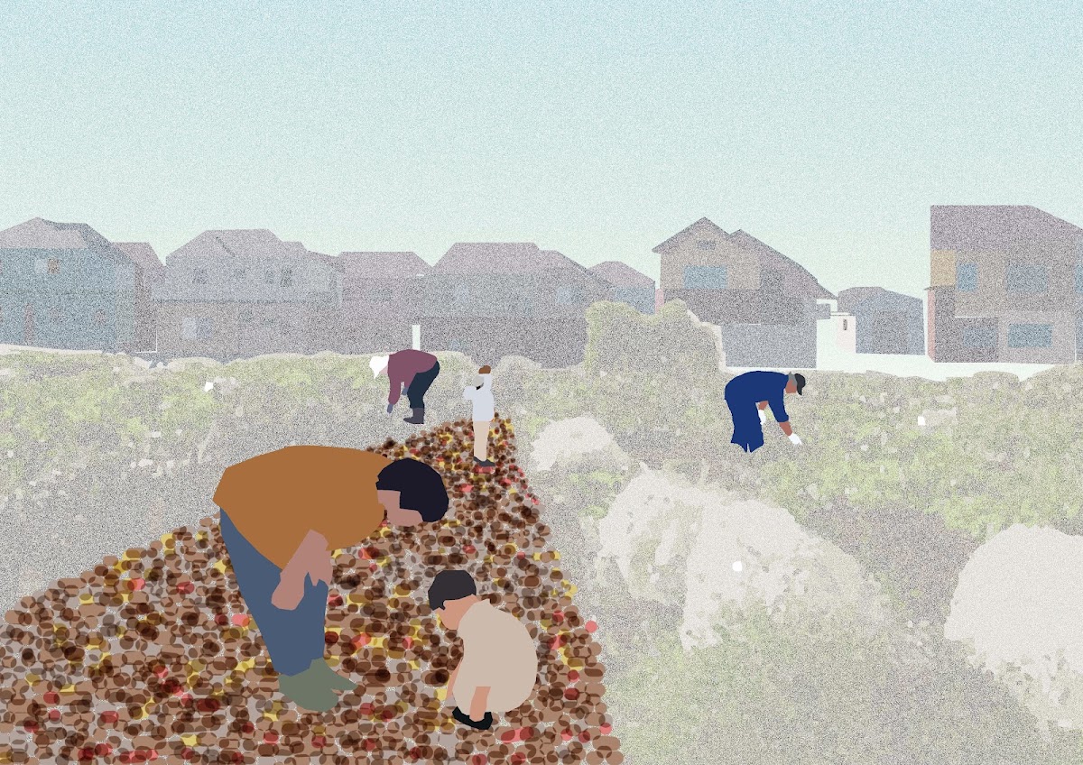 住宅地に囲まれた練馬の畑のドローイング。手前で数人が落ち葉の積もった地面にかがみ込んで作業し、奥に一戸建ての家並みが続く。