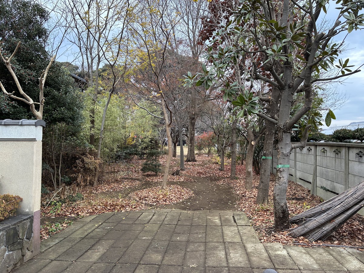 冬枯れの林を抜ける細い土の道。道の両側に落ち葉が厚く積もり、奥にかけて雑木が続いている。